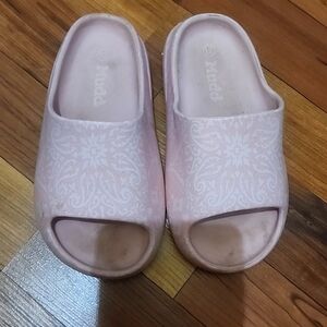 Mudd slides